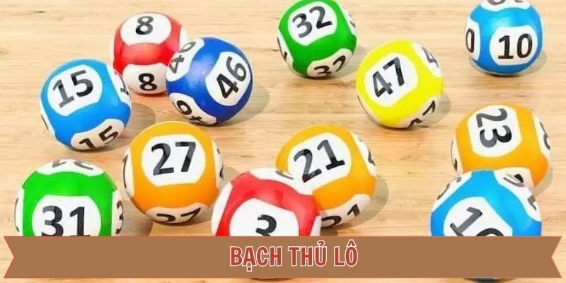 Bạch thủ lô