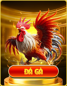 icon đá gà